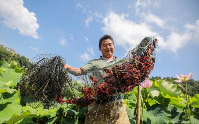 被授予湖北省農(nóng)業(yè)產(chǎn)業(yè)化重點龍頭企業(yè)